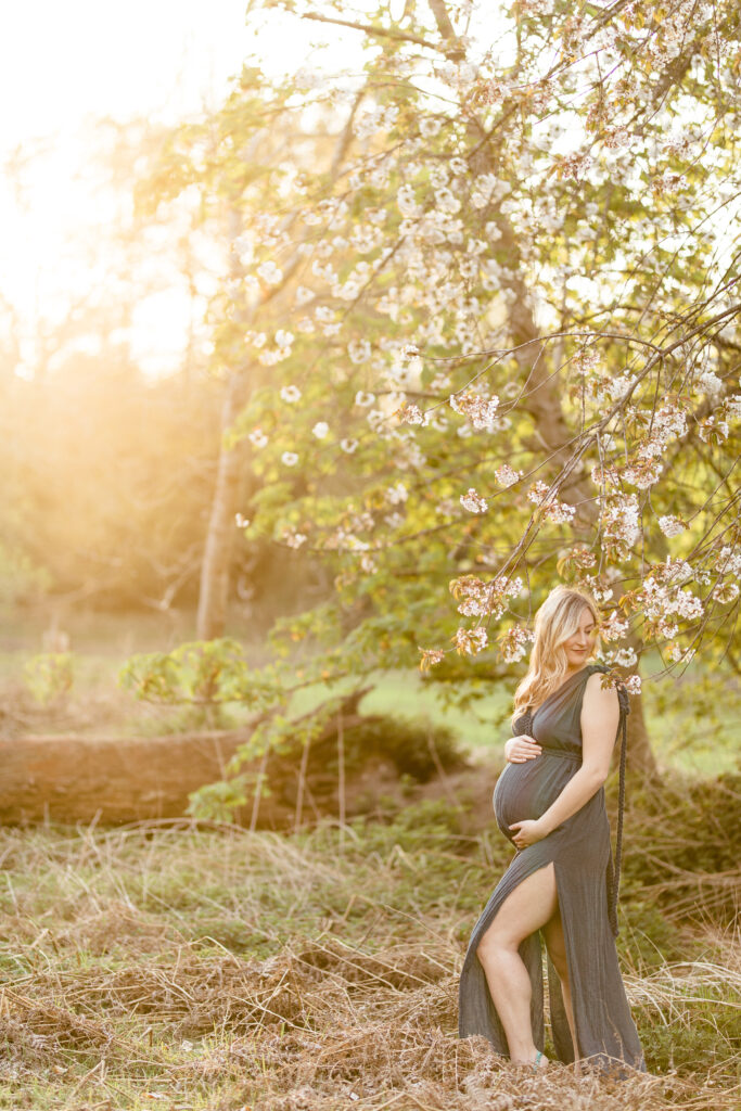 Maternity photograph at sunset