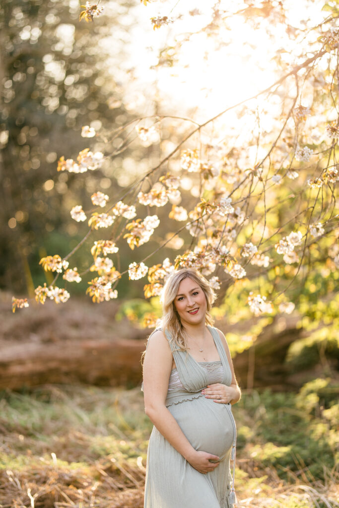 Outdoor sunset maternity shoot under a blossom tree